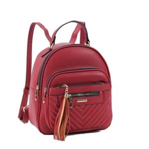 Brand new backpack